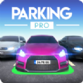 停车职业版 (Parking Pro)