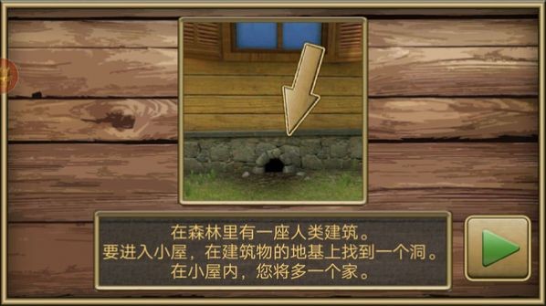 瘋狂老鼠公園
