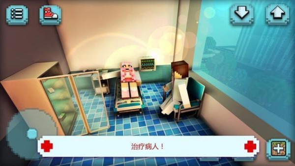 醫(yī)院工藝（Hospital Craft）