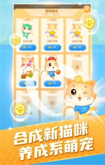 貓咪小家