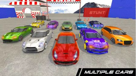 拉力賽車特技（Rally Car Stunts）
