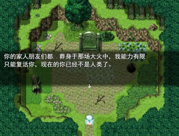 雨林精靈