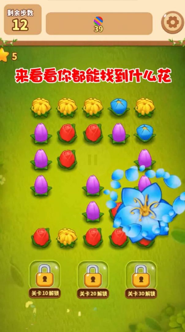 花朵連連消