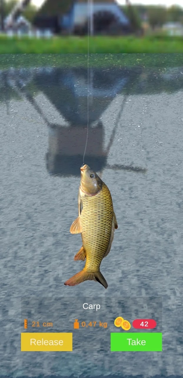 浮子釣魚（Bobber Fishing）