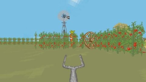 我的西紅柿（My tomatoes!）