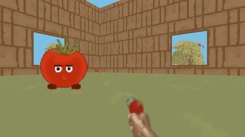 我的西紅柿（My tomatoes!）