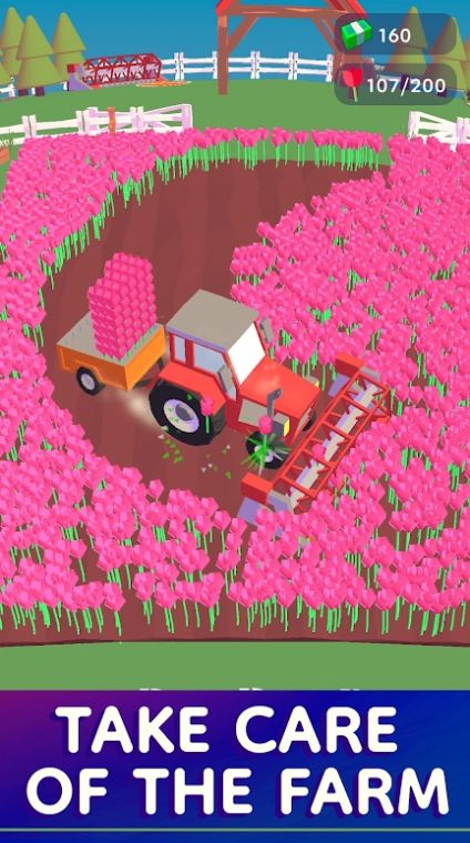 我的郁金香農場（Tulip Farm）