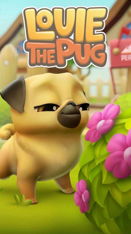 我的路易（Louie the Pug）