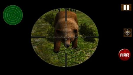 熊叢林攻擊（Bear Jungle Attack）