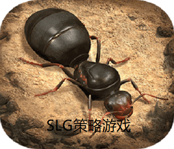 寫實類型的SLG策略游戲