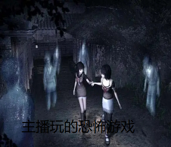 主播玩的恐怖游戲