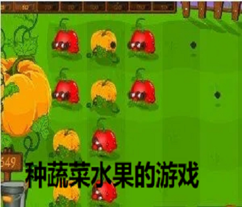 種蔬菜水果的游戲