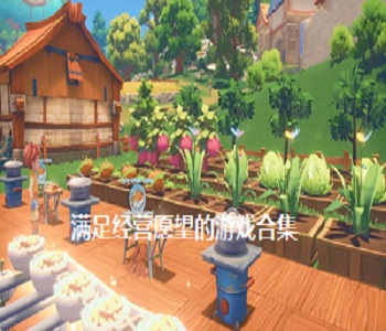 滿足經(jīng)營愿望的游戲合集