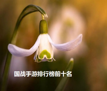 國戰(zhàn)手游排行榜前十名