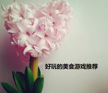 好玩的美食游戲推薦
