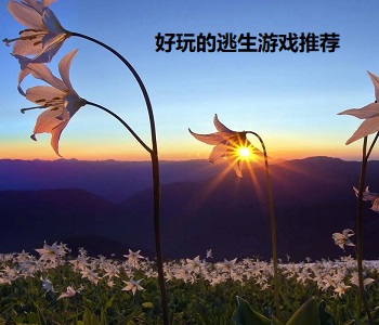 好玩的逃生游戲推薦