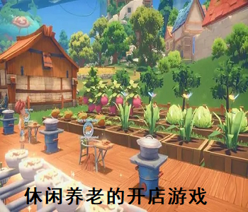 休閑養(yǎng)老的開店游戲