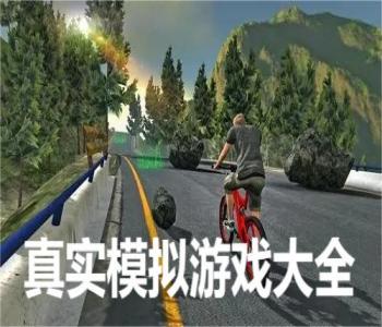 真實模擬游戲大全