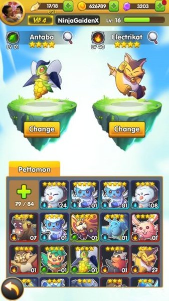 天空冠軍(SkyChamp)