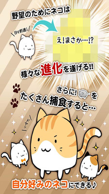 這是貓咪嗎(これにゃん)
