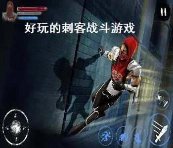 好玩的刺客戰(zhàn)斗游戲