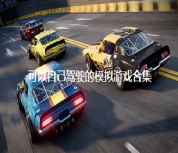 可以自己駕駛的模擬游戲合集