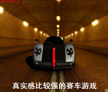 真實(shí)感比較強(qiáng)的賽車游戲