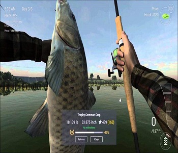 模擬釣魚游戲排行榜