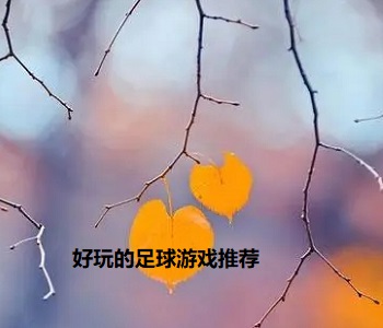 好玩的足球游戲推薦