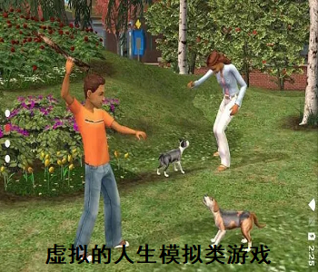 虛擬的人生模擬類游戲