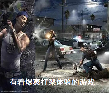 有著爆爽打架體驗(yàn)的游戲