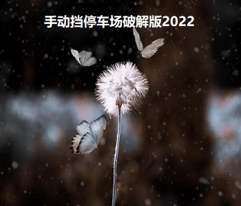 手動(dòng)擋停車場破解版2022