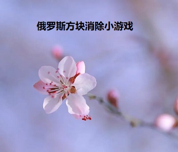 俄羅斯方塊消除小游戲