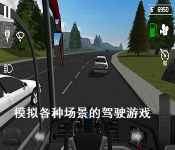 模擬各種場景的駕駛游戲
