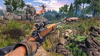 野鹿狩獵射擊