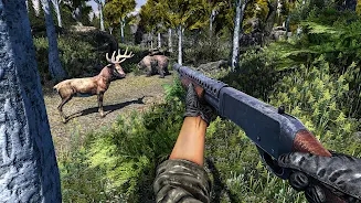 野鹿狩獵射擊