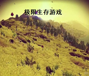 極限生存游戲