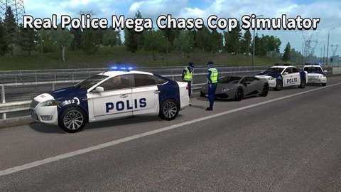警車追逐小偷(Police Car Chase Thief Real Police Cop Simulator)