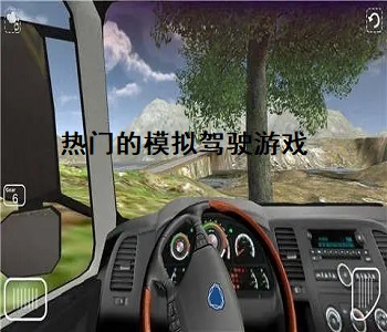熱門的模擬駕駛游戲