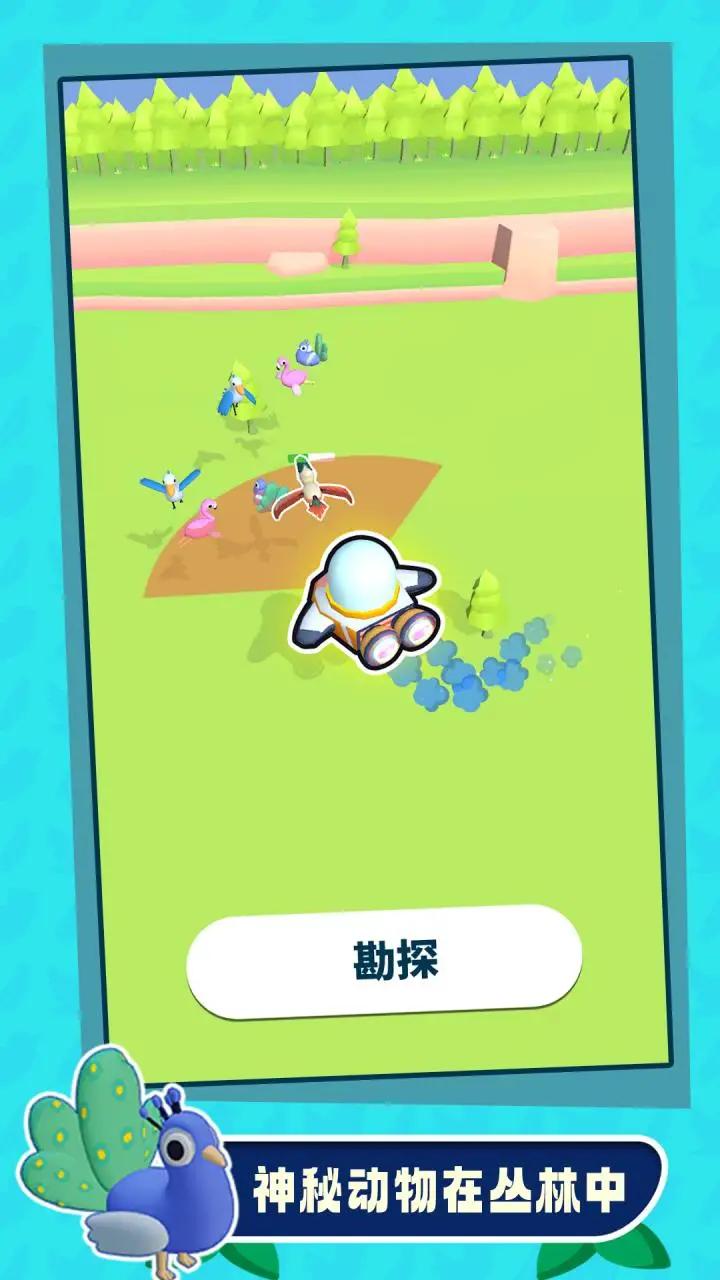 捕鳥大師