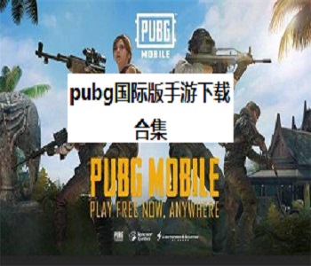 pubg國際版手游2024大全