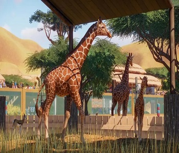 動物園之星