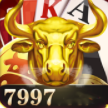 42923金牛版