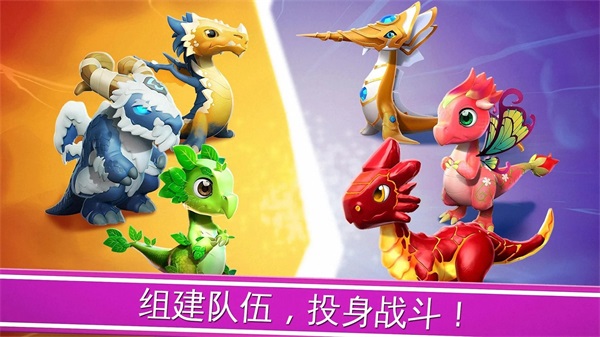 龍之狂熱