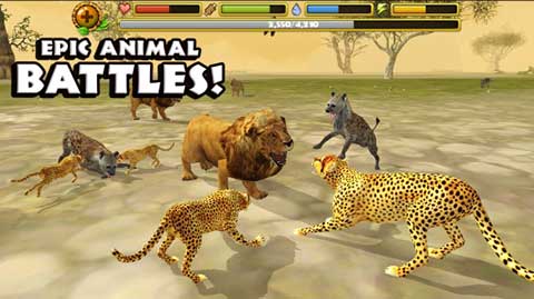 獵豹模擬器（Wild Cheetah Sim）