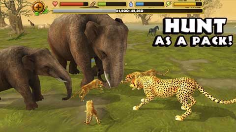 獵豹模擬器（Wild Cheetah Sim）