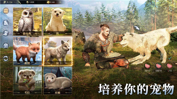 維京之王國際服（Vikingard）