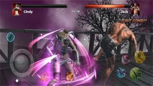 現(xiàn)代格斗（Modern Fighting）