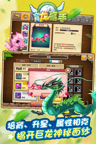 育龍高手