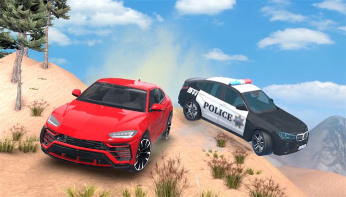汽車駕駛特大車禍